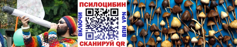 ссылка на мегу tor  Ардатов  Псилоцибиновые грибы Magic Shrooms 